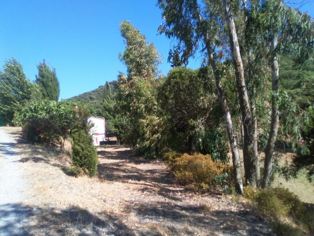 Finca - Cortijo Alcaucín Málaga - imagen 24