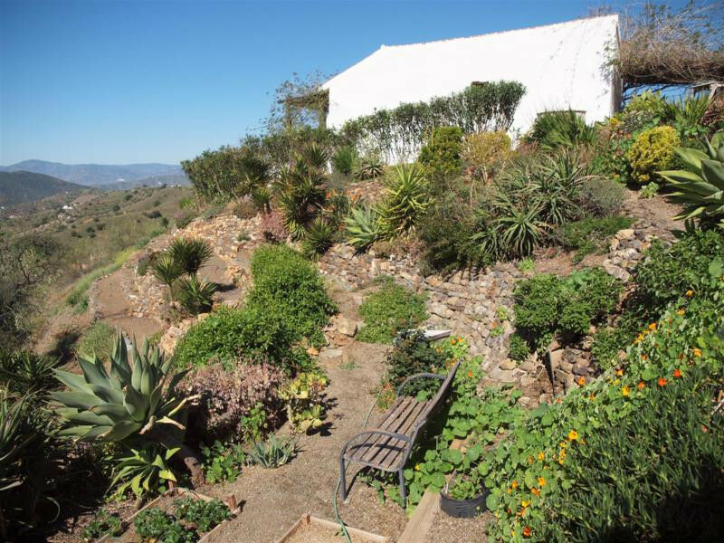 Finca - Cortijo Sedella Málaga - imagen 25