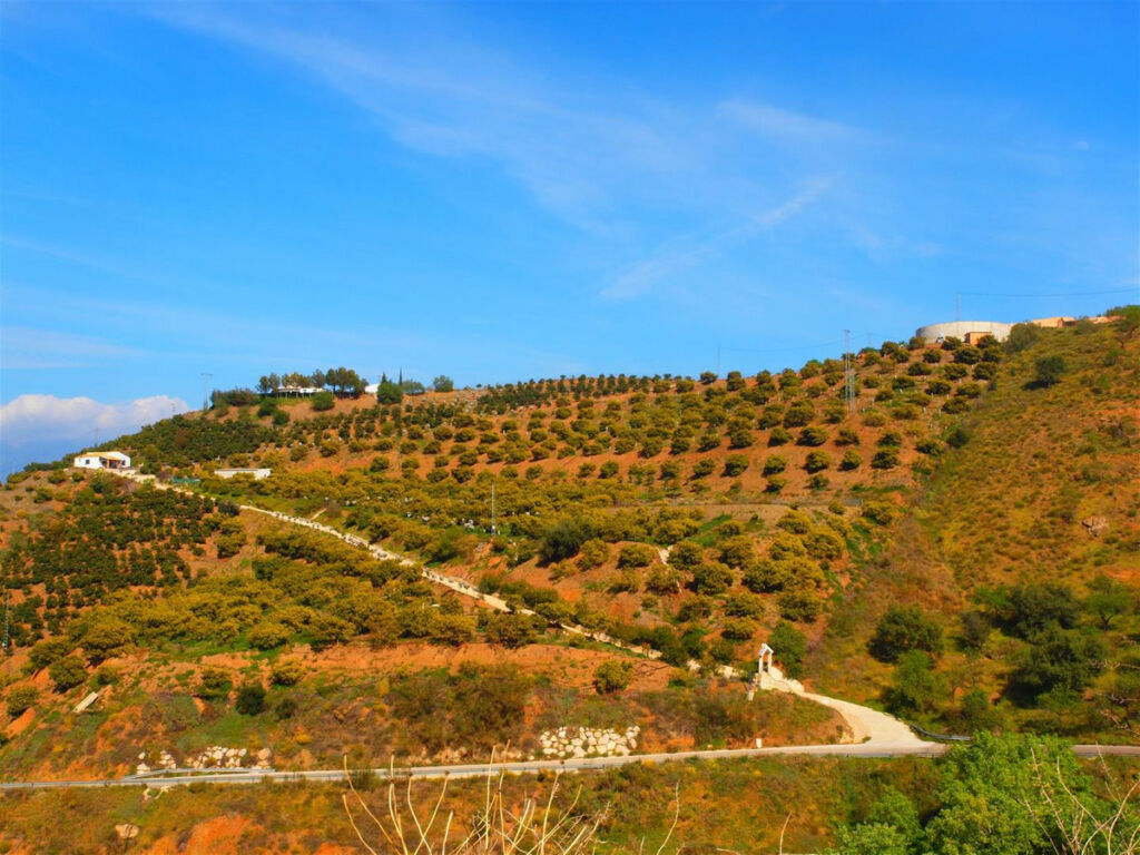 Finca - Cortijo Iznate Málaga - imagen 25