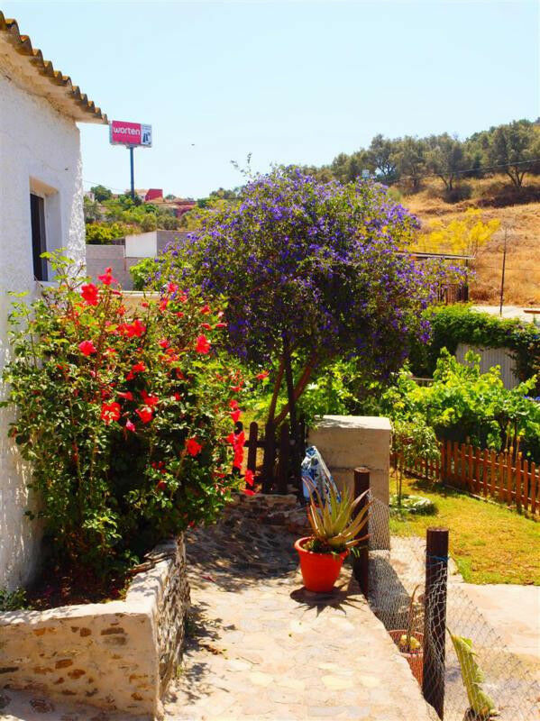 Finca - Cortijo Rincón de la Victoria Málaga - imagen 25