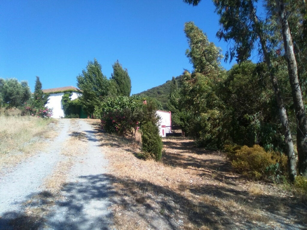 Finca - Cortijo Alcaucín Málaga - imagen 25