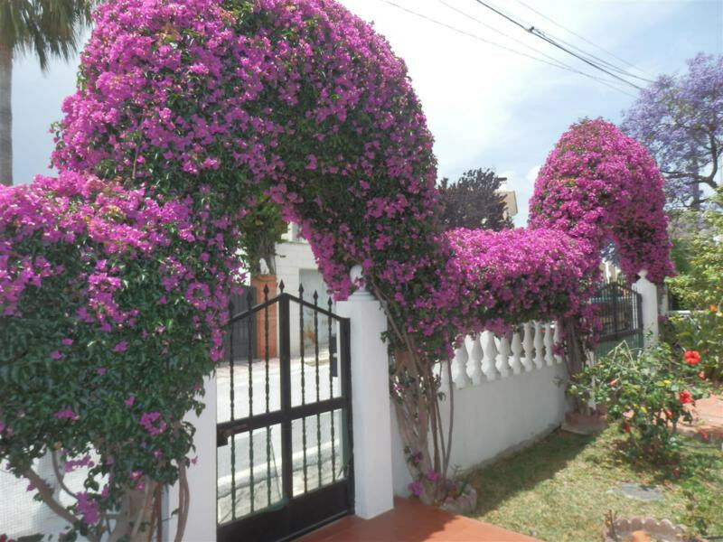 Detached Villa Chilches Málaga - Bild 26