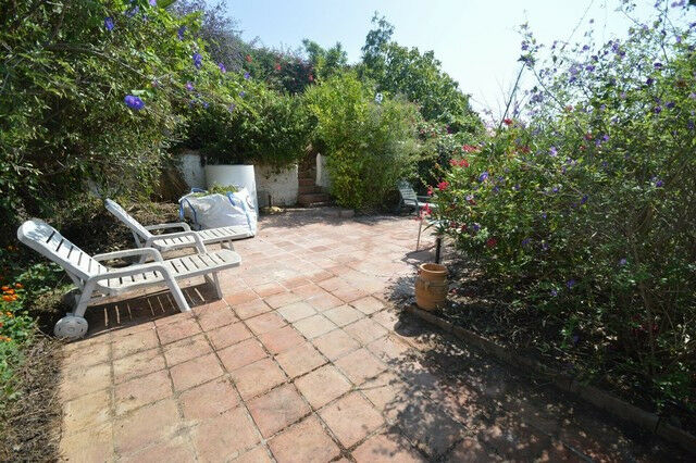 Finca - Cortijo Almayate Málaga - zdjęcie 26