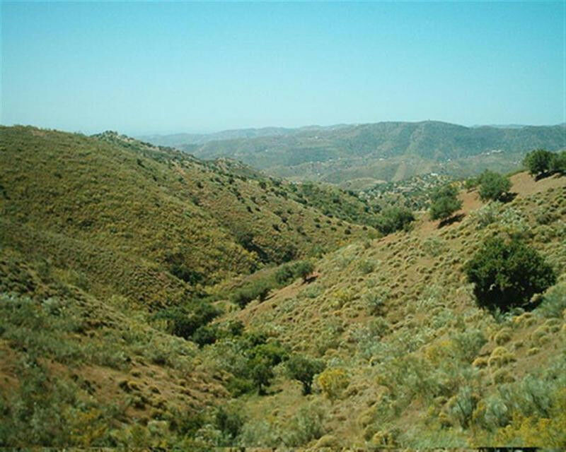 Finca - Cortijo Canillas de Aceituno Málaga - imagen 26