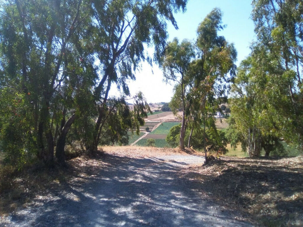 Finca - Cortijo Alcaucín Málaga - imagen 26