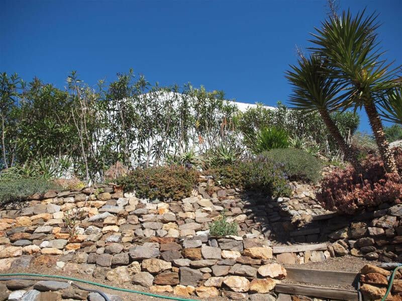 Finca - Cortijo Sedella Málaga - imagen 26