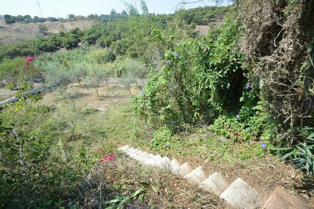 Finca - Cortijo Almayate Málaga - zdjęcie 27