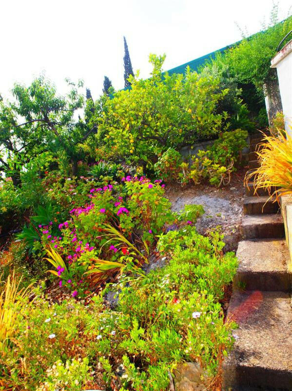 Finca - Cortijo Almayate Málaga - imagen 27