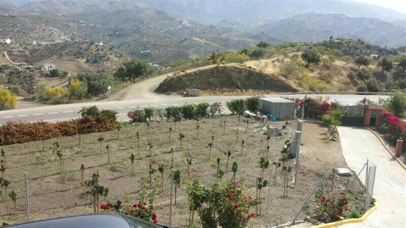 Finca - Cortijo Viñuela Málaga - imagen 27