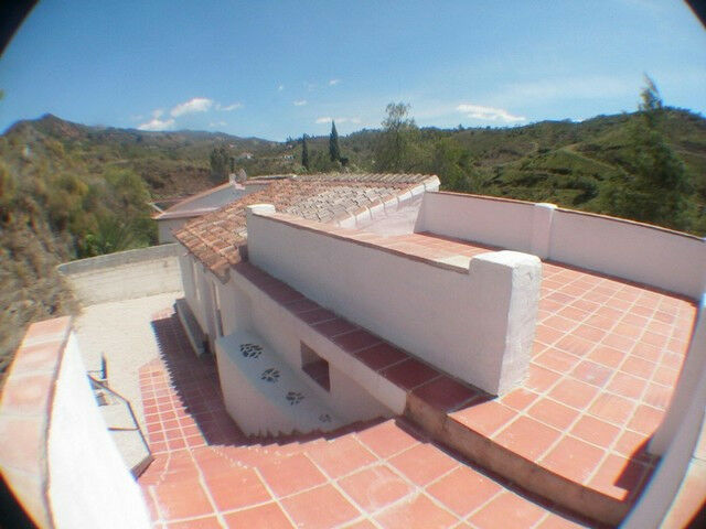 Finca - Cortijo Vélez-Málaga Málaga - imagen 28