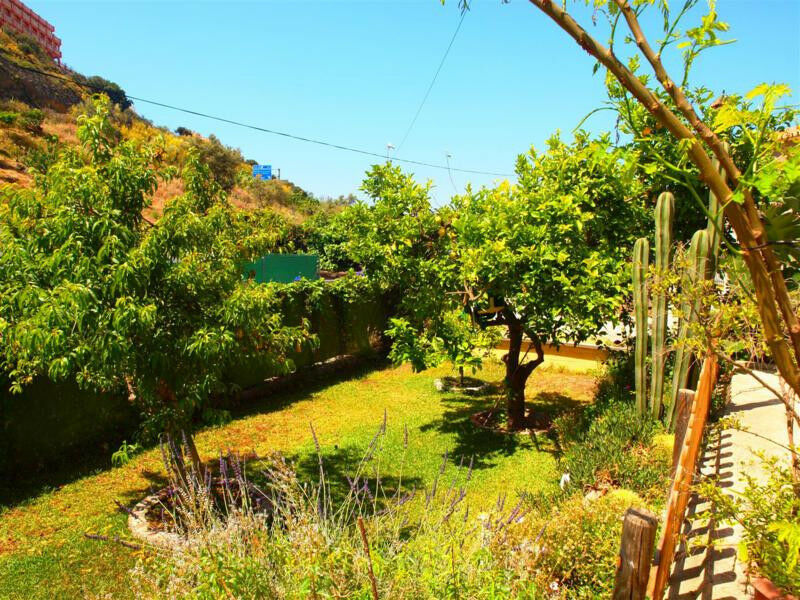 Finca - Cortijo Rincón de la Victoria Málaga - imagen 28