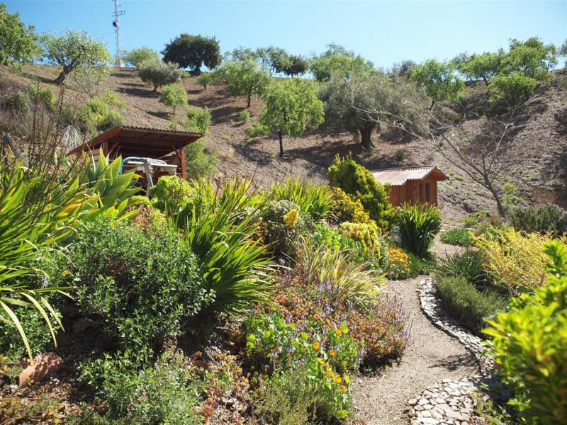 Finca - Cortijo Sedella Málaga - imagen 28