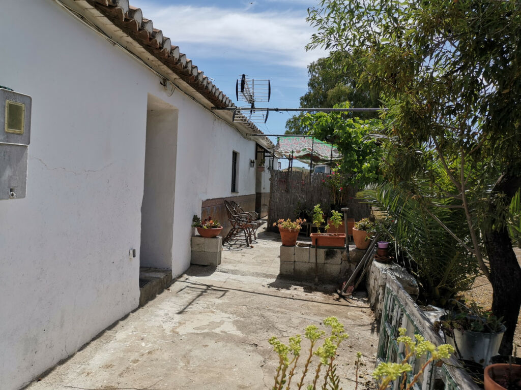 Finca - Cortijo Triana Málaga - Bild 28