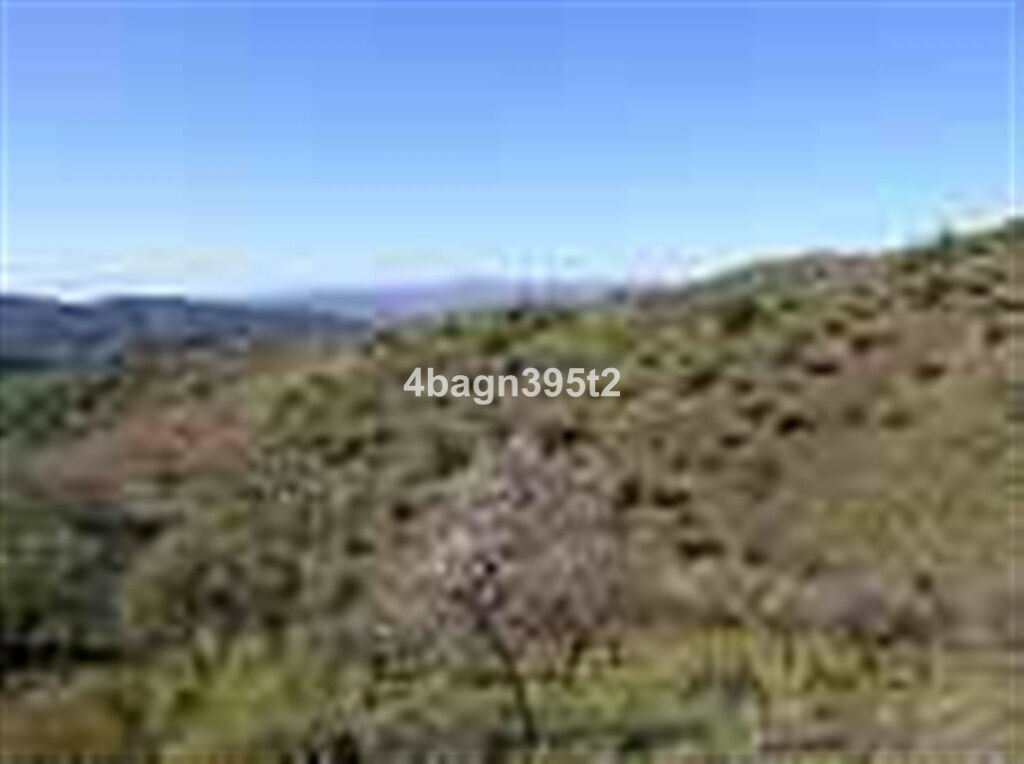 Detached Villa Sedella Málaga - zdjęcie 29