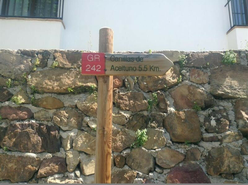 Finca - Cortijo Canillas de Aceituno Málaga - imagen 29
