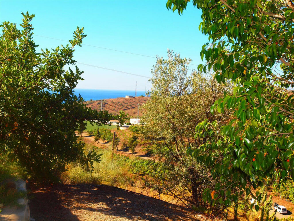 Finca - Cortijo Benajarafe Málaga - imagen 3