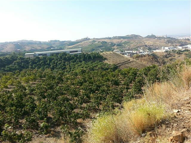 Land Arenas Málaga - imagen 3