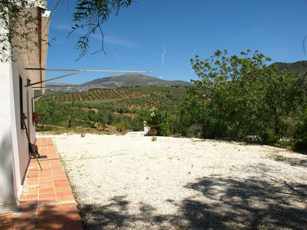 Finca - Cortijo Riogordo Málaga - imagen 3
