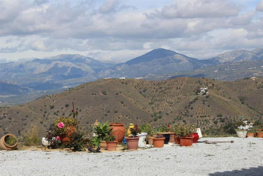 Finca - Cortijo Canillas de Aceituno Málaga - imagen 3