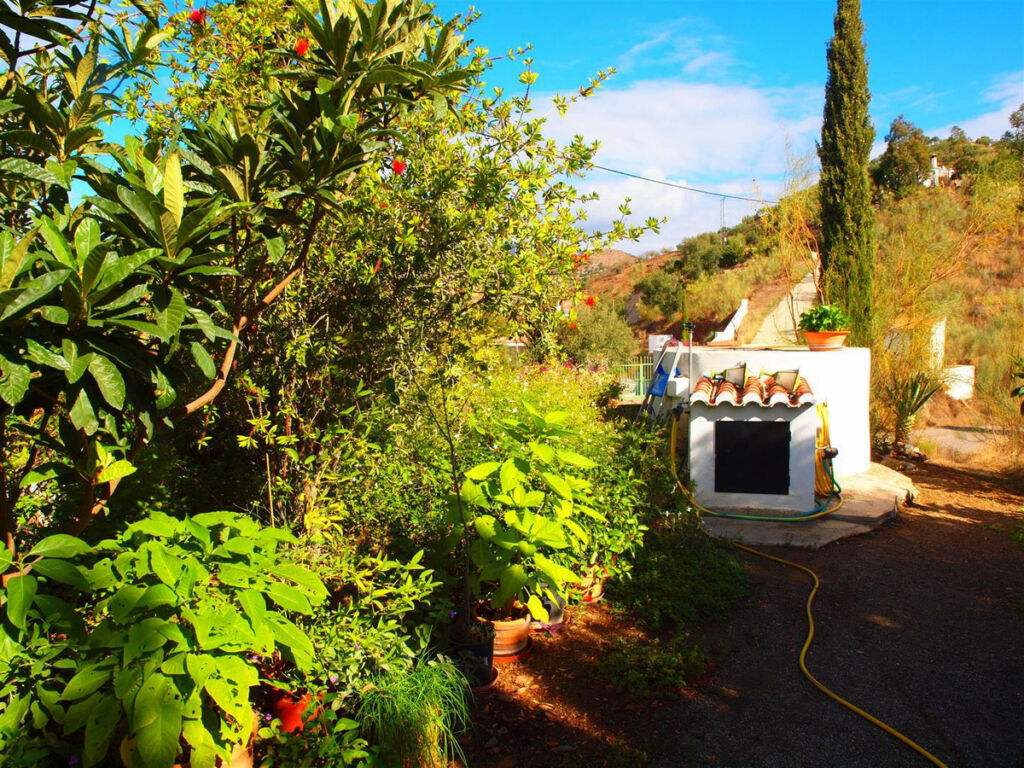 Finca - Cortijo Canillas de Aceituno Málaga - imagen 3