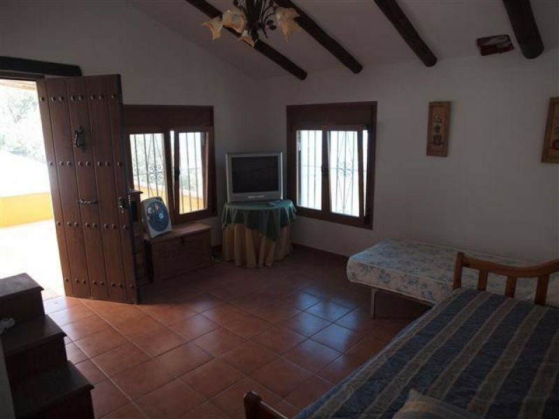 Finca - Cortijo Algarrobo Málaga - imagen 3