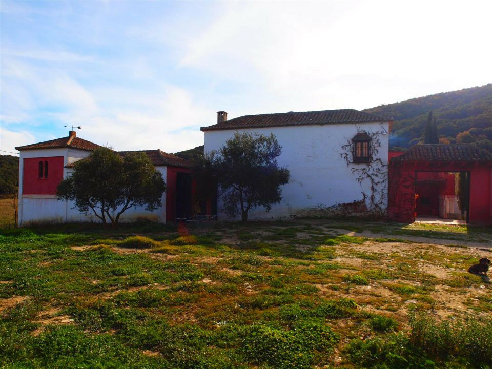 Finca - Cortijo Alcaucín Málaga - imagen 3