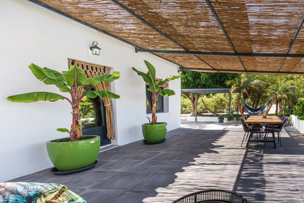 Finca - Cortijo Vélez-Málaga Málaga - imagen 3
