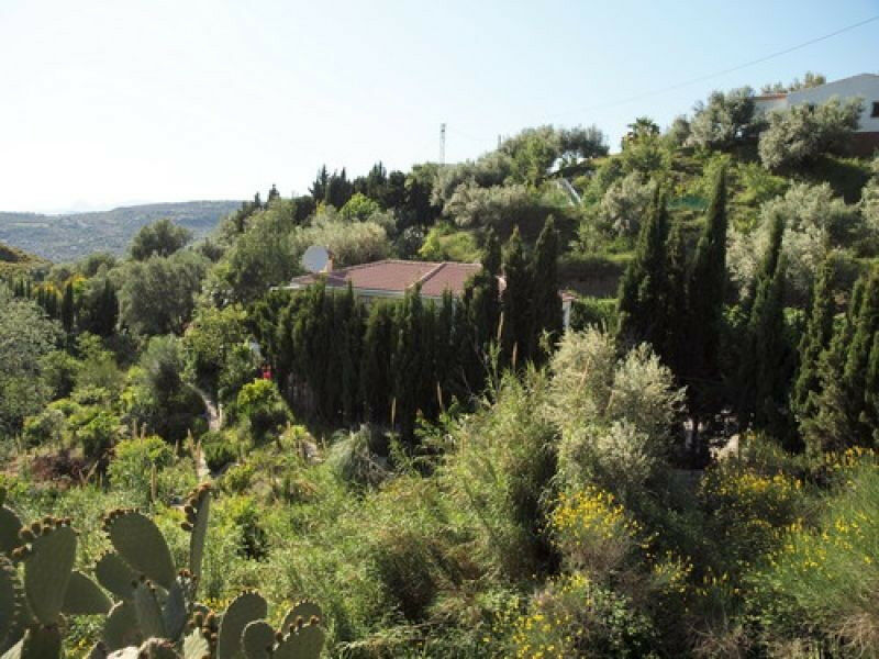 Detached Villa Alcaucín Málaga - Bild 3
