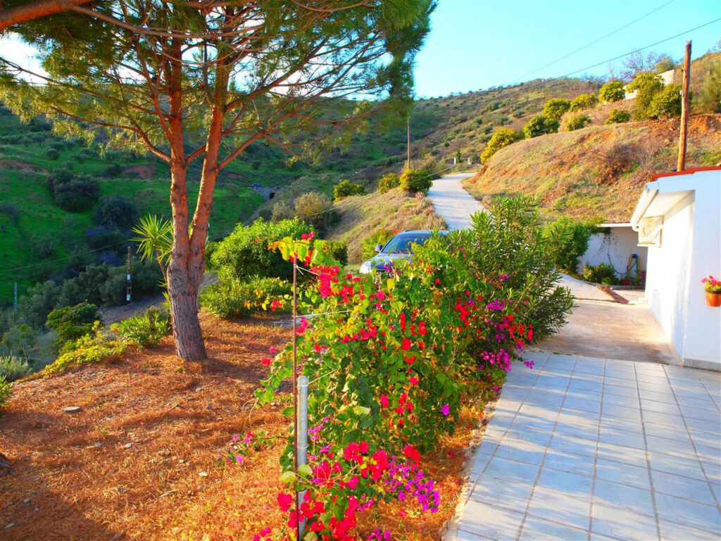 Finca - Cortijo Moclinejo Málaga - imagen 3
