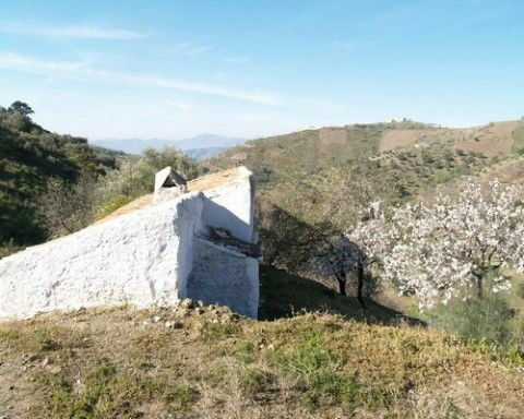 Finca - Cortijo Canillas de Aceituno Málaga - imagen 3