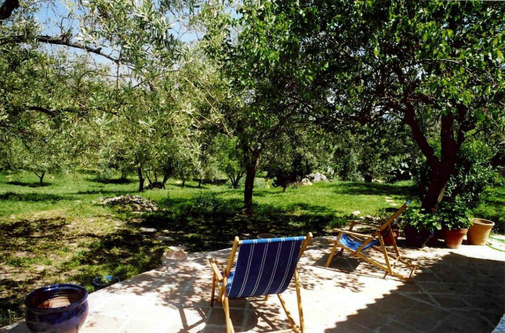 Finca - Cortijo Periana Málaga - imagen 3