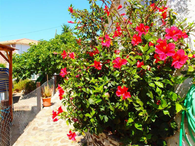 Finca - Cortijo Rincón de la Victoria Málaga - imagen 31
