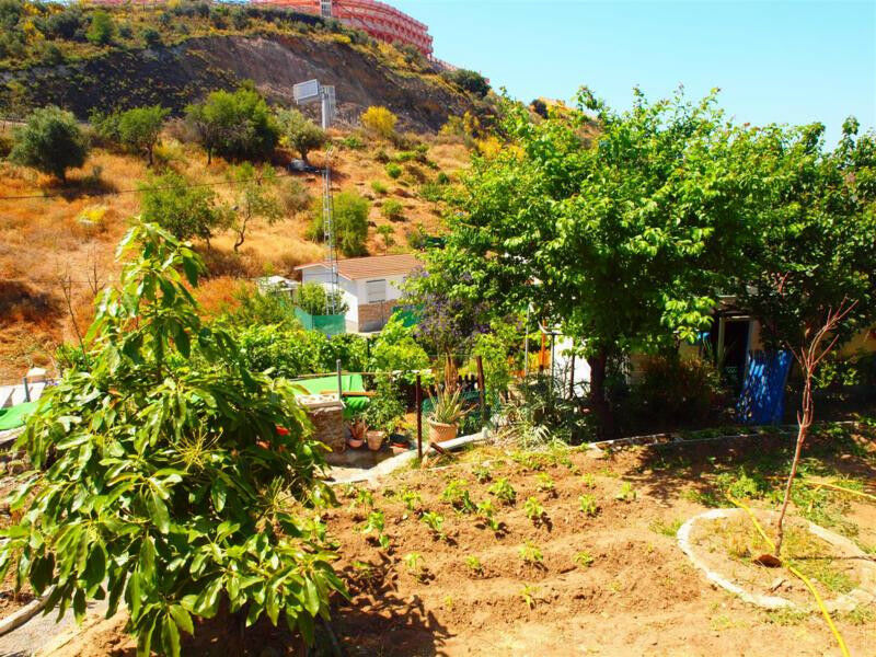 Finca - Cortijo Rincón de la Victoria Málaga - imagen 33