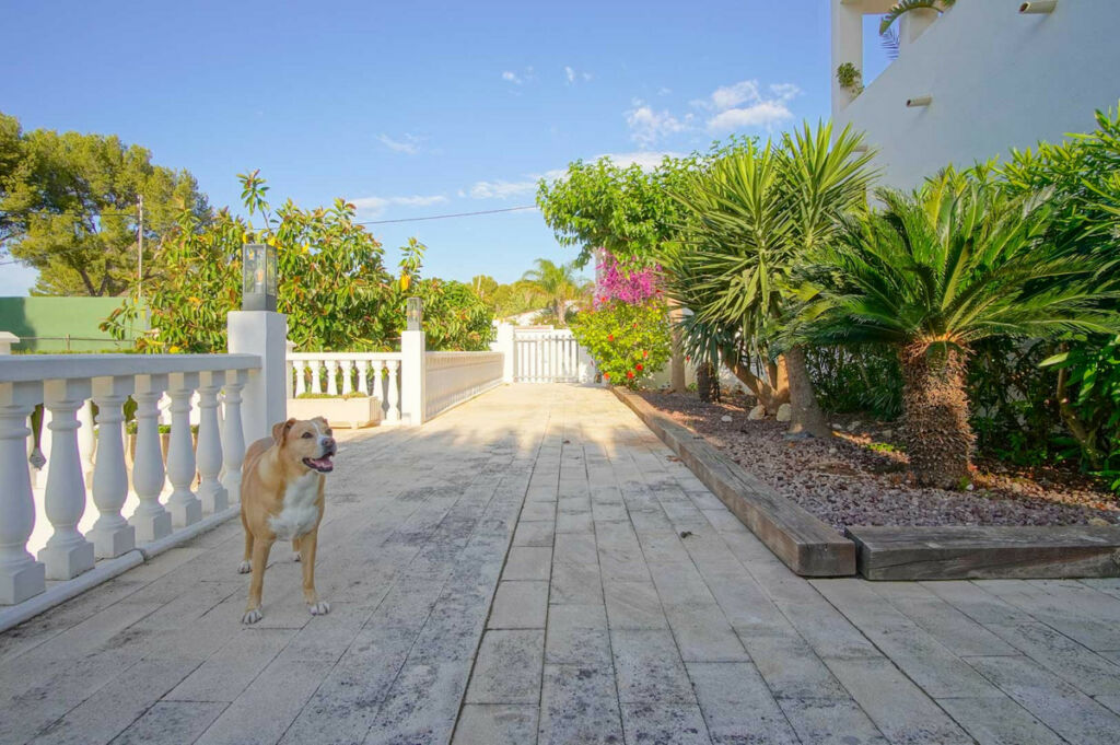 Detached Villa Denia Alicante - imagen 35