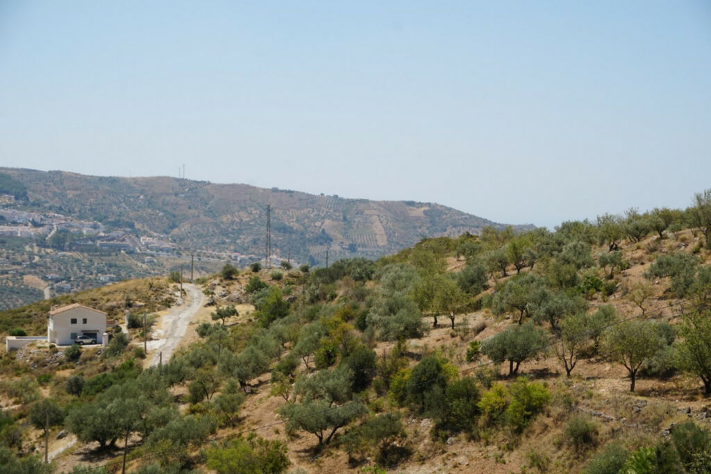Detached Villa Alcaucín Málaga - imagen 36