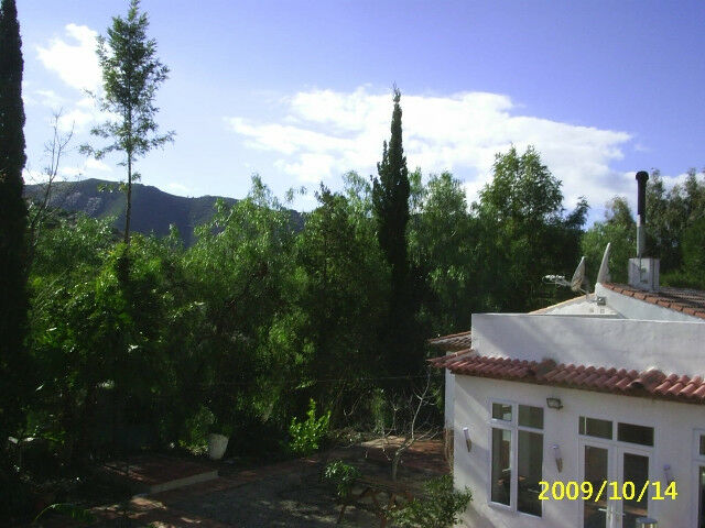 Finca - Cortijo Vélez-Málaga Málaga - imagen 37
