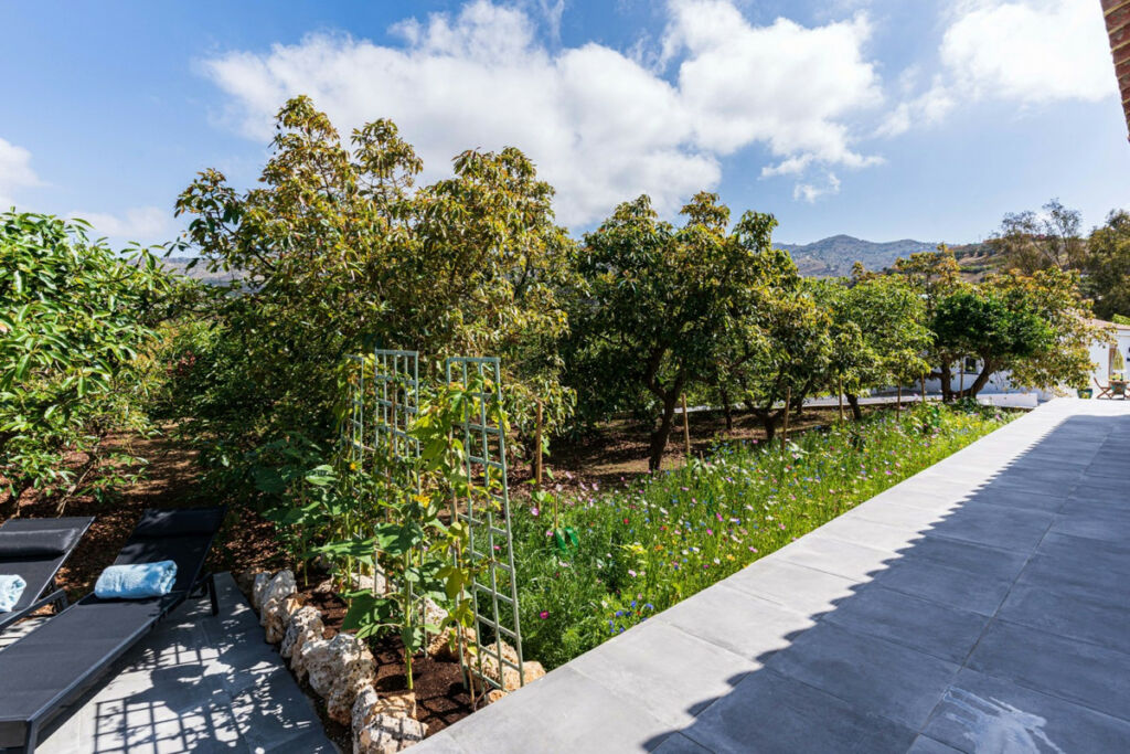 Finca - Cortijo Vélez-Málaga Málaga - imagen 37