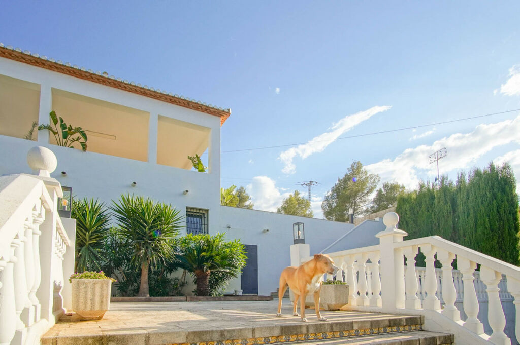 Detached Villa Denia Alicante - imagen 38