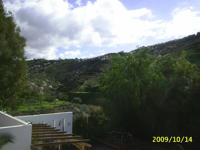 Finca - Cortijo Vélez-Málaga Málaga - imagen 38