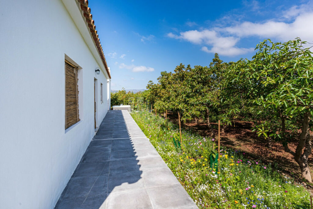Finca - Cortijo Vélez-Málaga Málaga - imagen 38