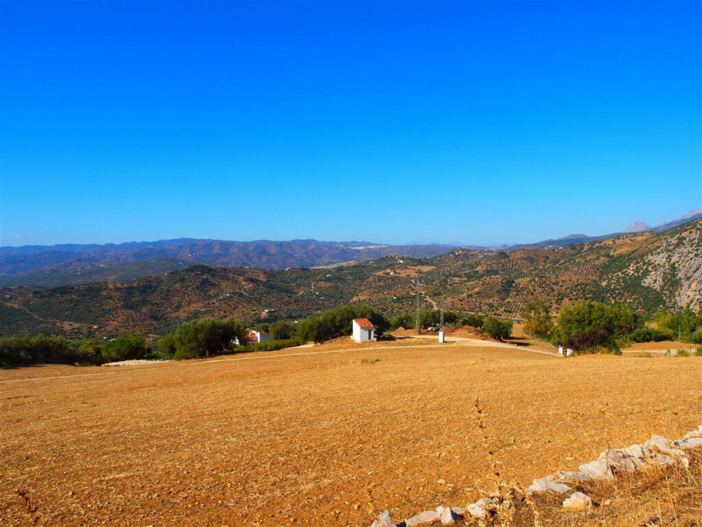 Finca - Cortijo Alfarnatejo Málaga - imagen 4