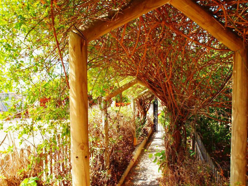 Finca - Cortijo Almayate Málaga - imagen 4