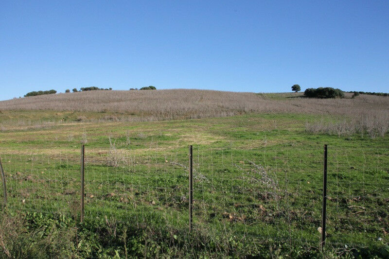 Finca - Cortijo Jimena de la Frontera Cádiz - imagen 4