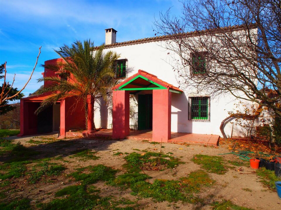 Finca - Cortijo Alcaucín Málaga - imagen 4
