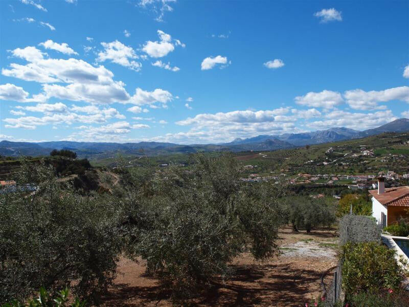 Detached Villa Alcaucín Málaga - imagen 4