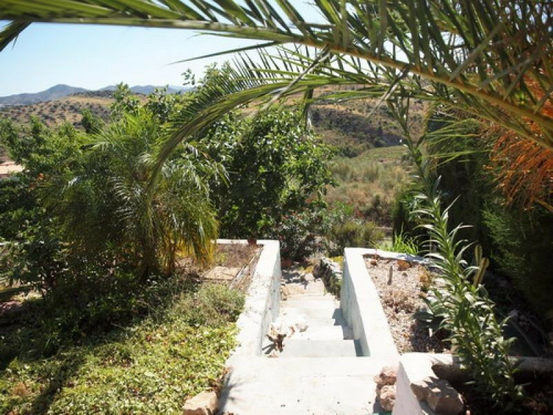 Detached Villa Alcaucín Málaga - image 4