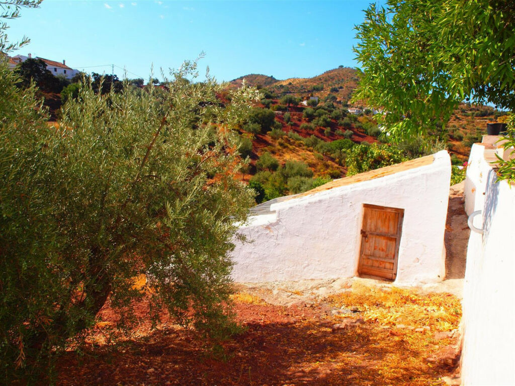 Finca - Cortijo Comares Málaga - imagen 4