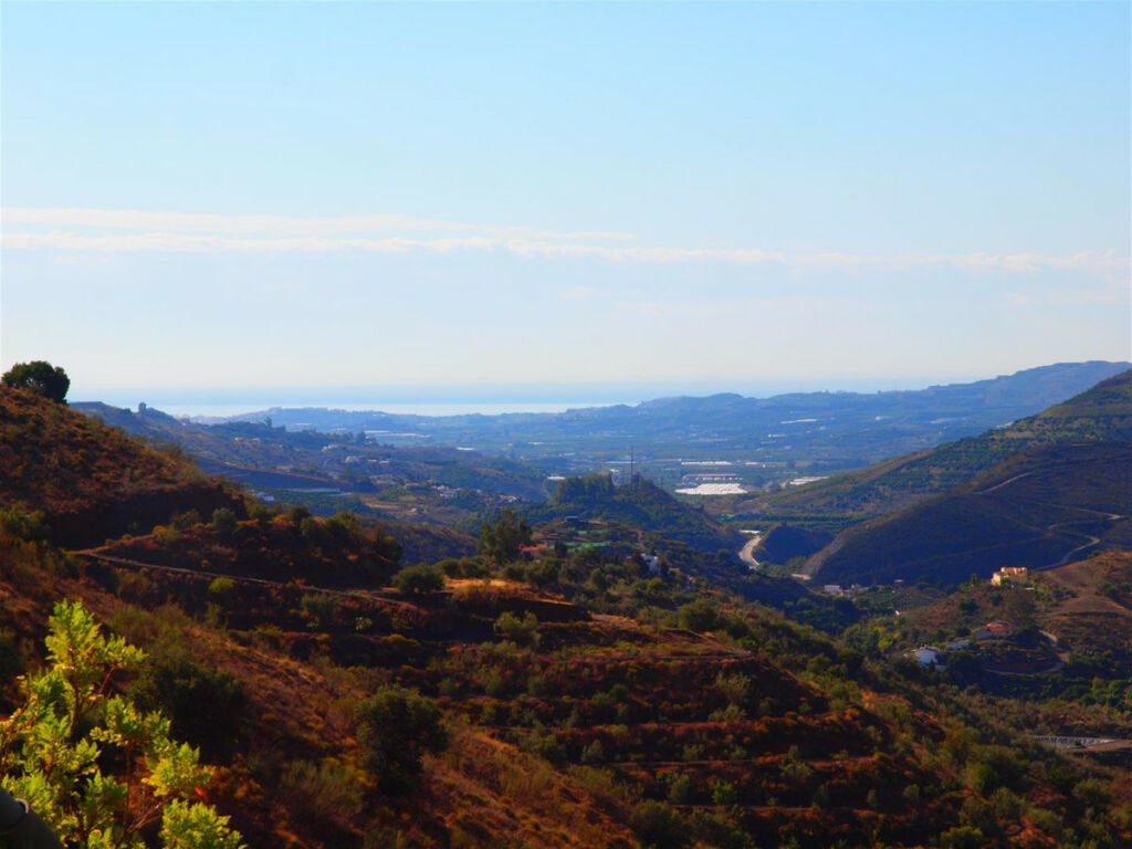 Finca - Cortijo Canillas de Aceituno Málaga - imagen 4
