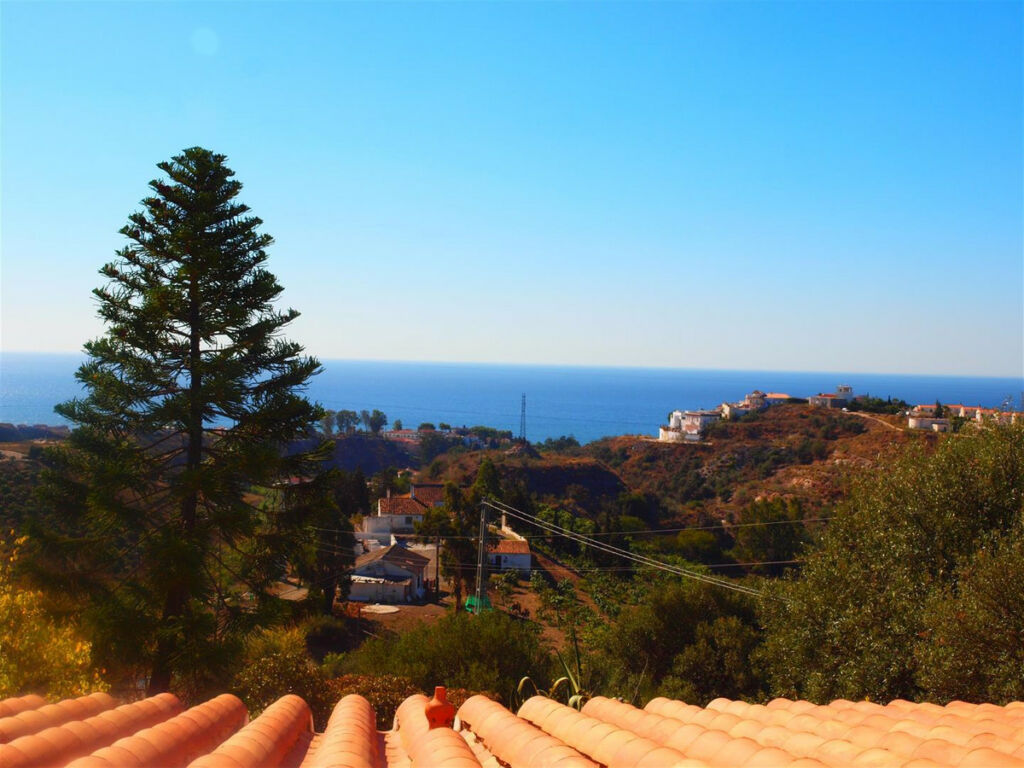 Finca - Cortijo Benajarafe Málaga - imagen 4