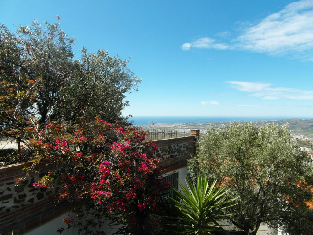 Detached Villa Arenas Málaga - imagen 4